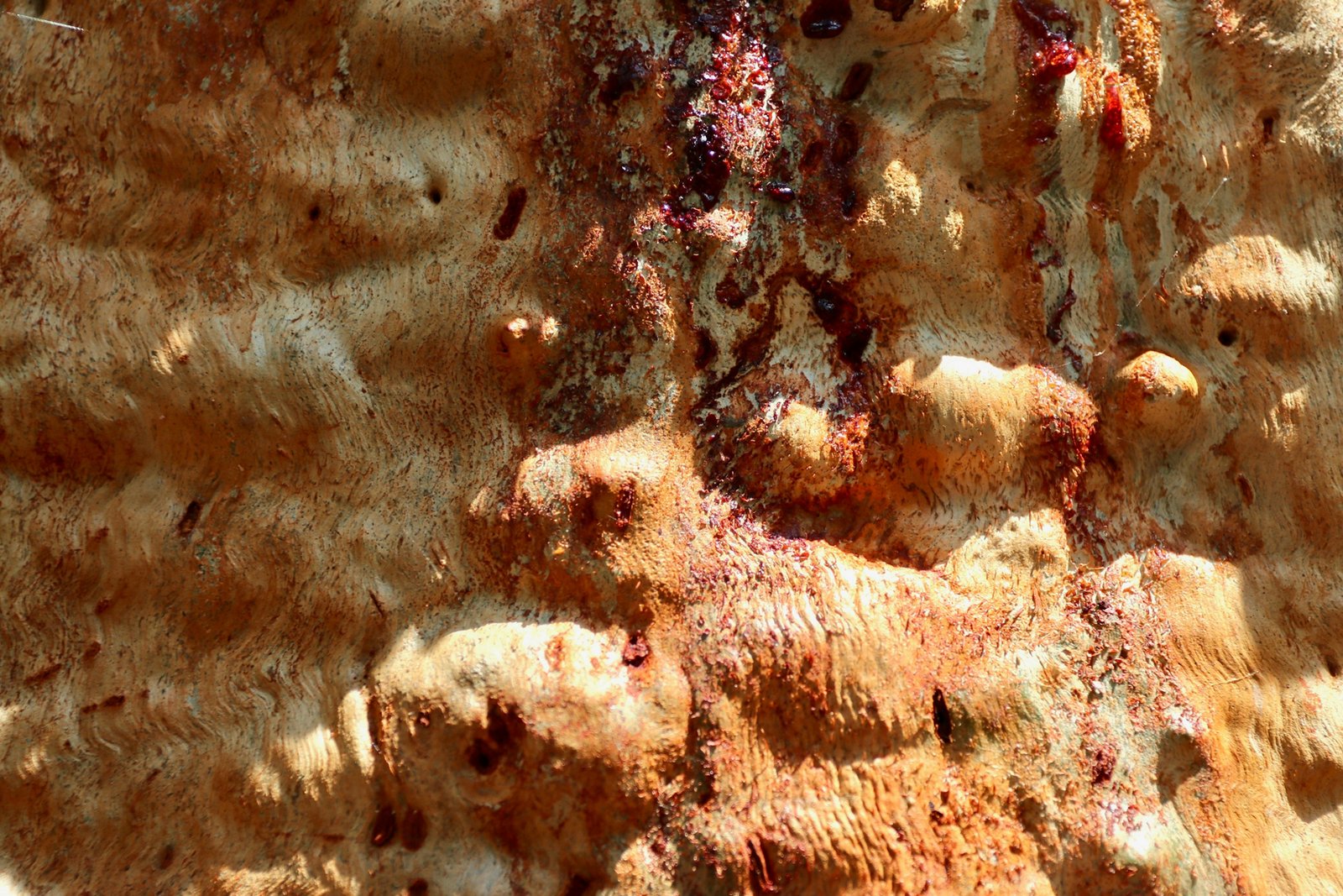 Eingetrockneter Harzfleck auf Oberfläche